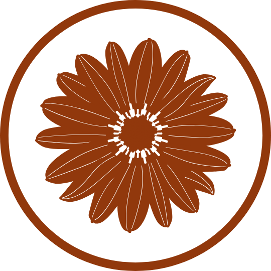 Nasycone Prawdziwą Arnika